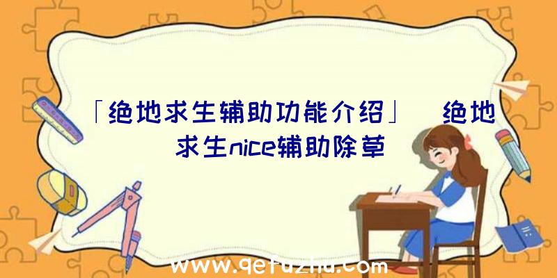 「绝地求生辅助功能介绍」|绝地求生nice辅助除草